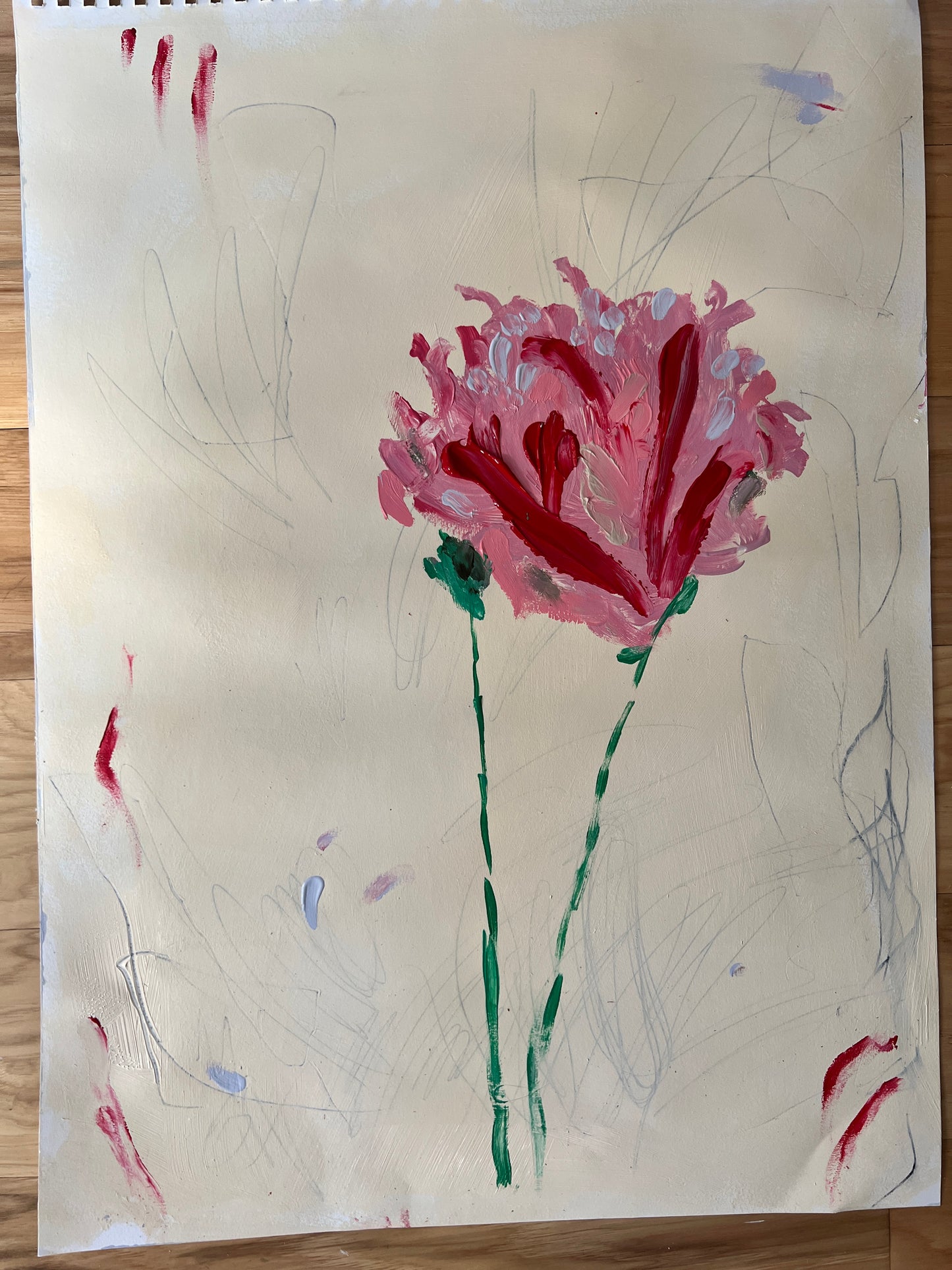 tulip no. 1